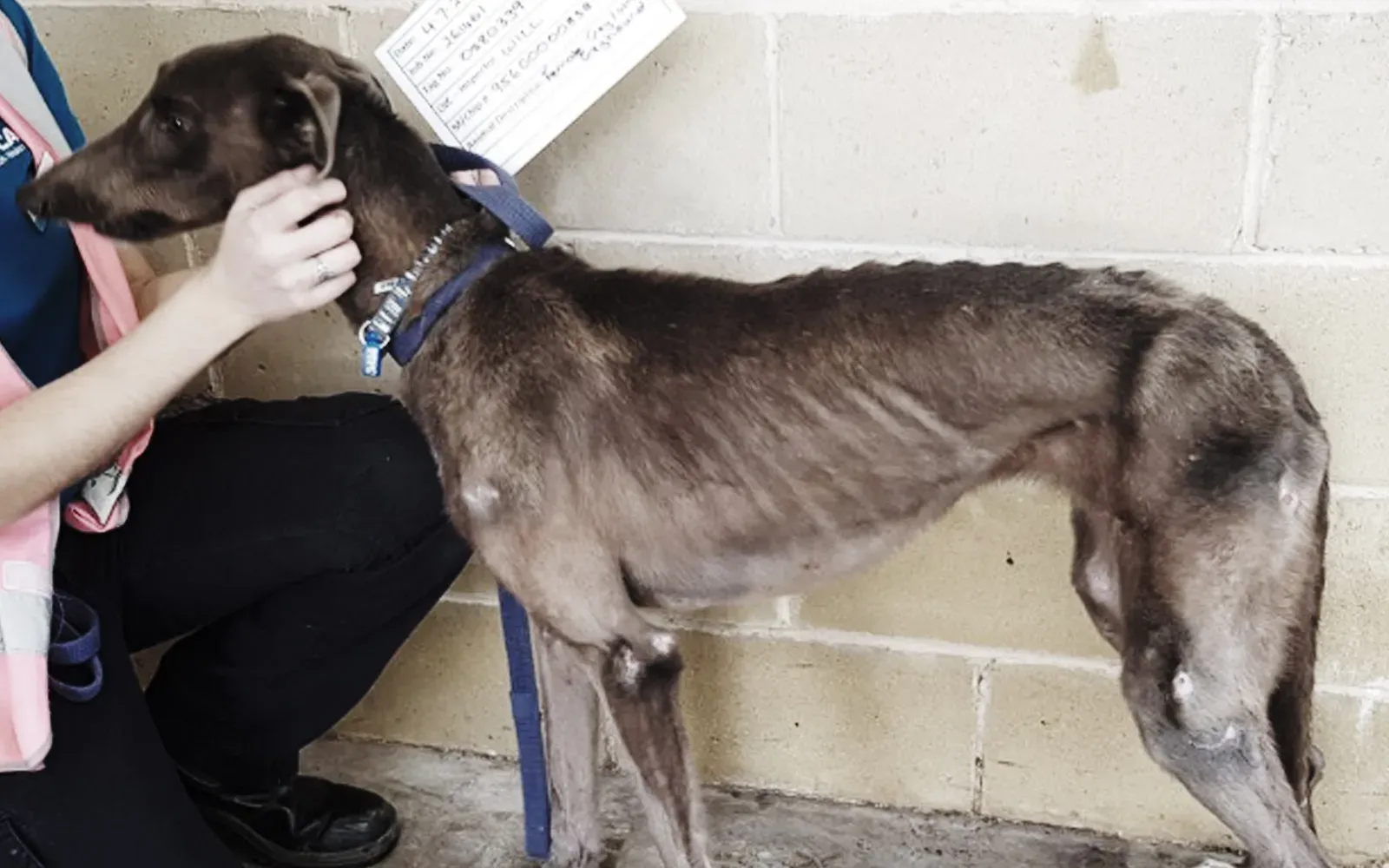 36745597 10155624161283354 2552273969071783936 n 1