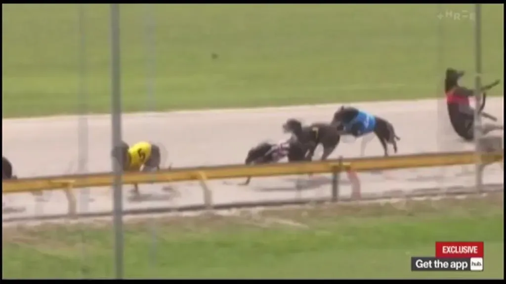 36745597 10155624161283354 2552273969071783936 n 3