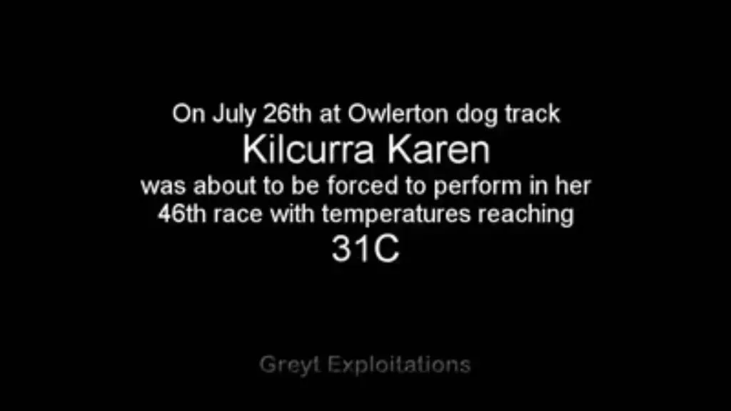 36745597 10155624161283354 2552273969071783936 n 4