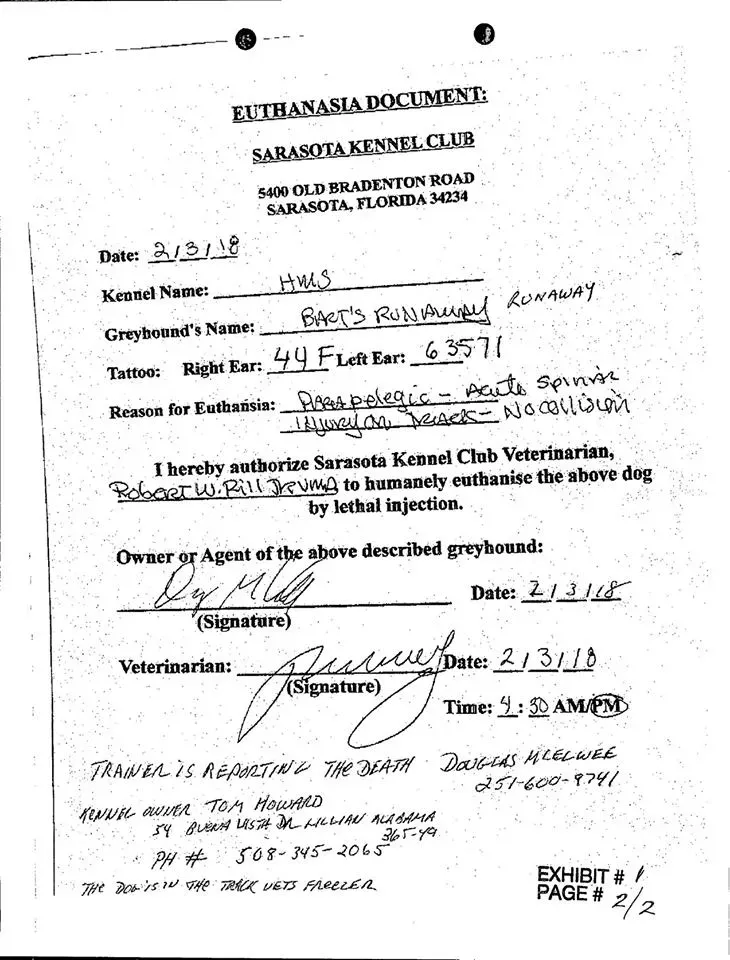 36745597 10155624161283354 2552273969071783937 n 1