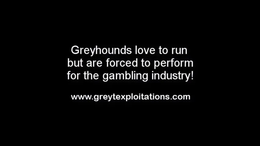 36745597 10155624161283354 2552273969071783937 n