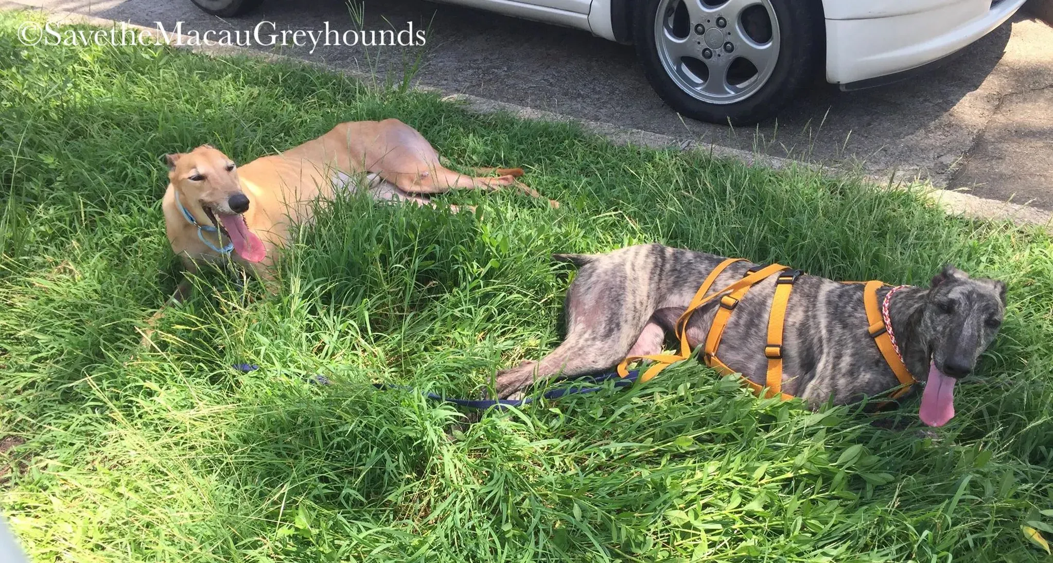 36805430 10156674903386995 8746364340371718144 n