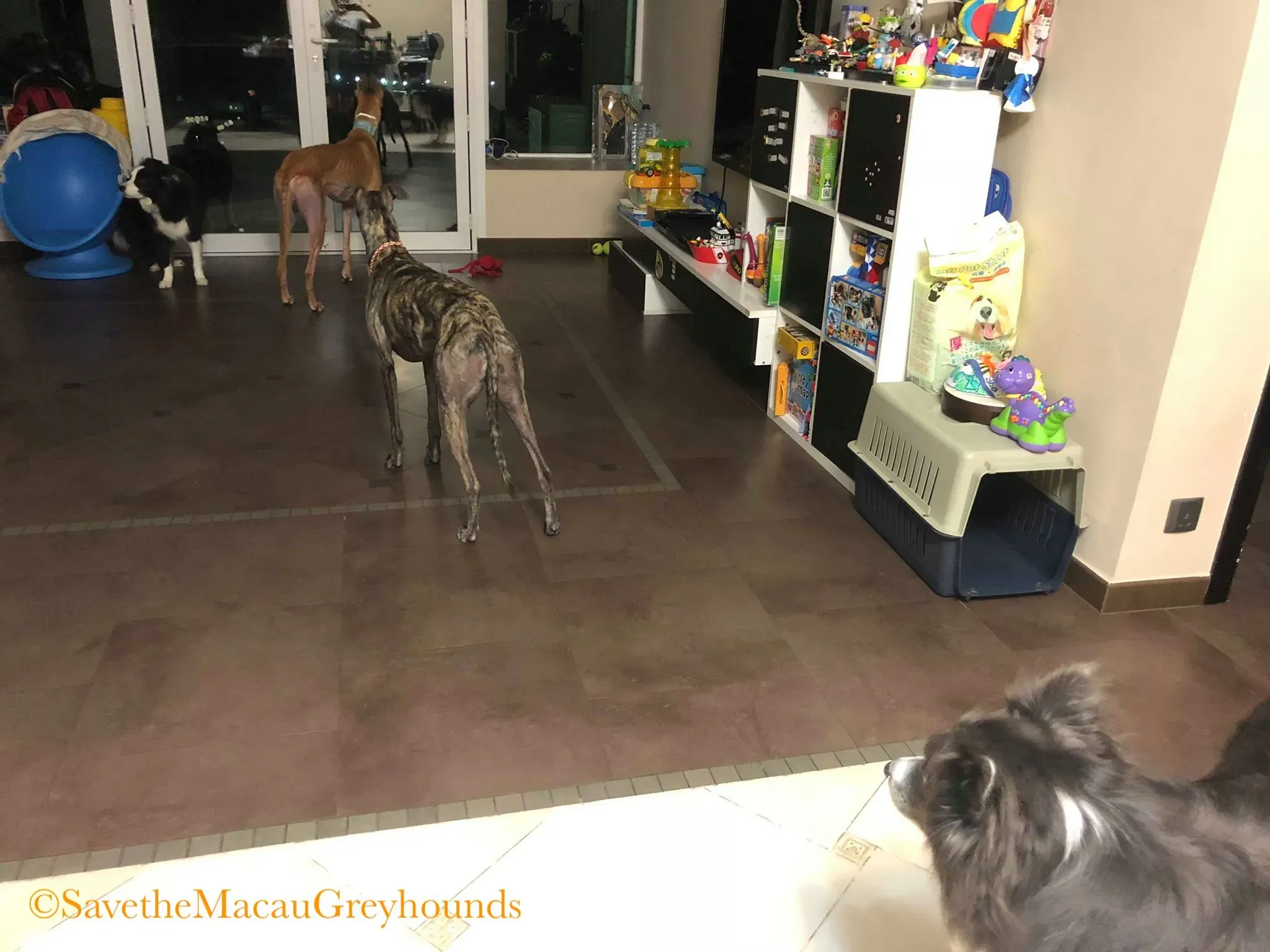 36842259 10156674903321995 3597287151965831168 n