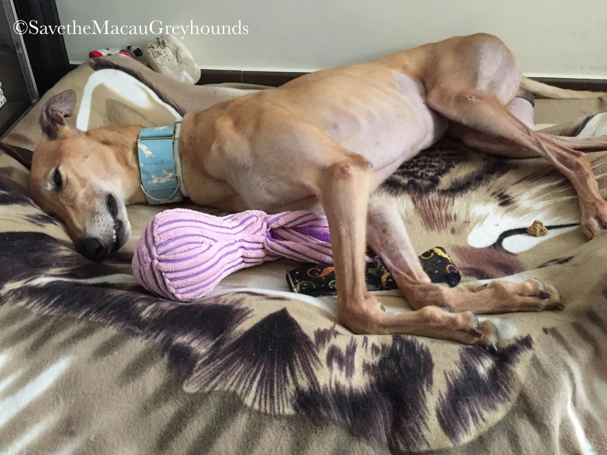 36846178 10156674902846995 1126715817484877824 n