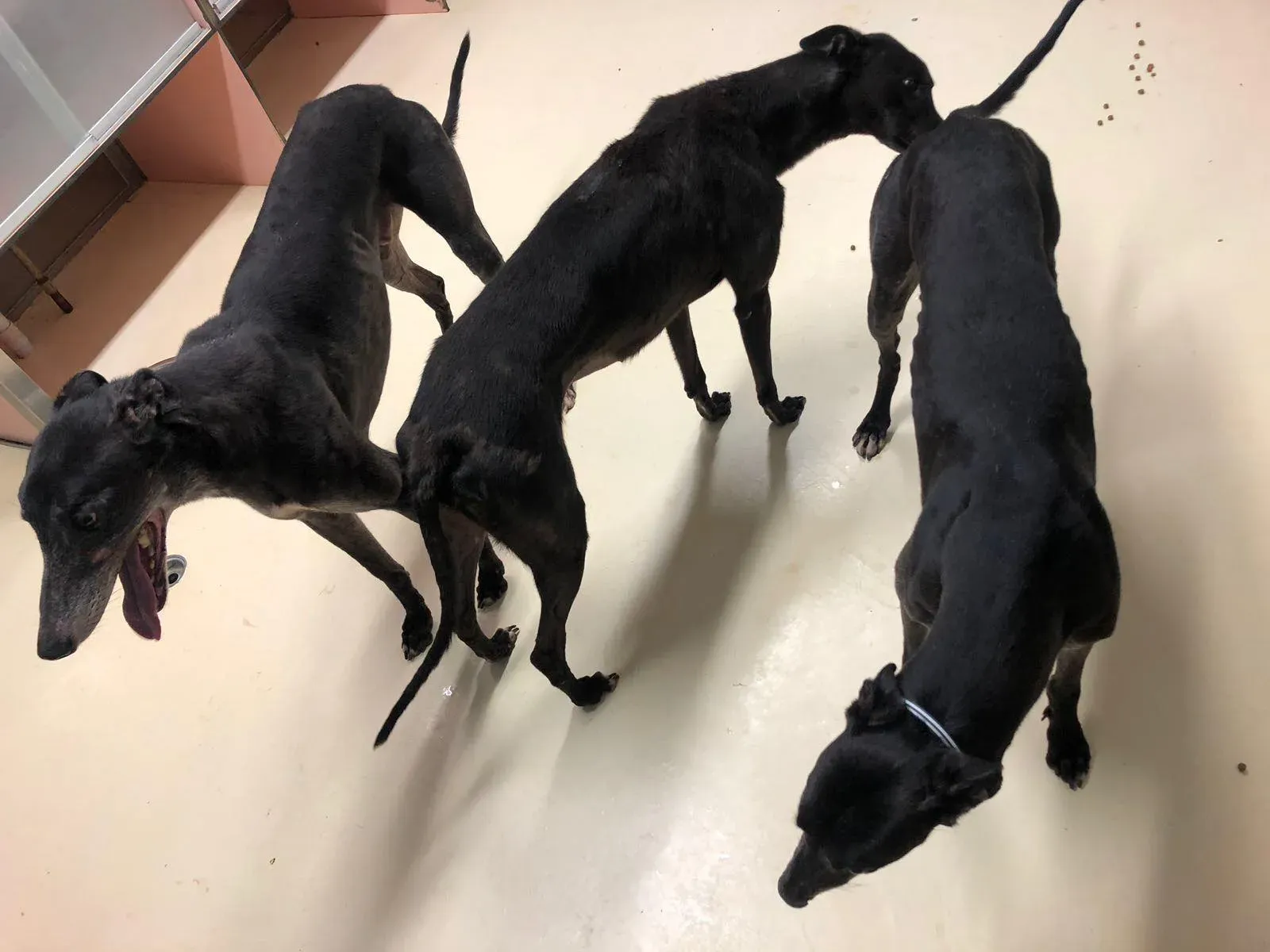 36847982 1622710504530306 7968688596498513920 o