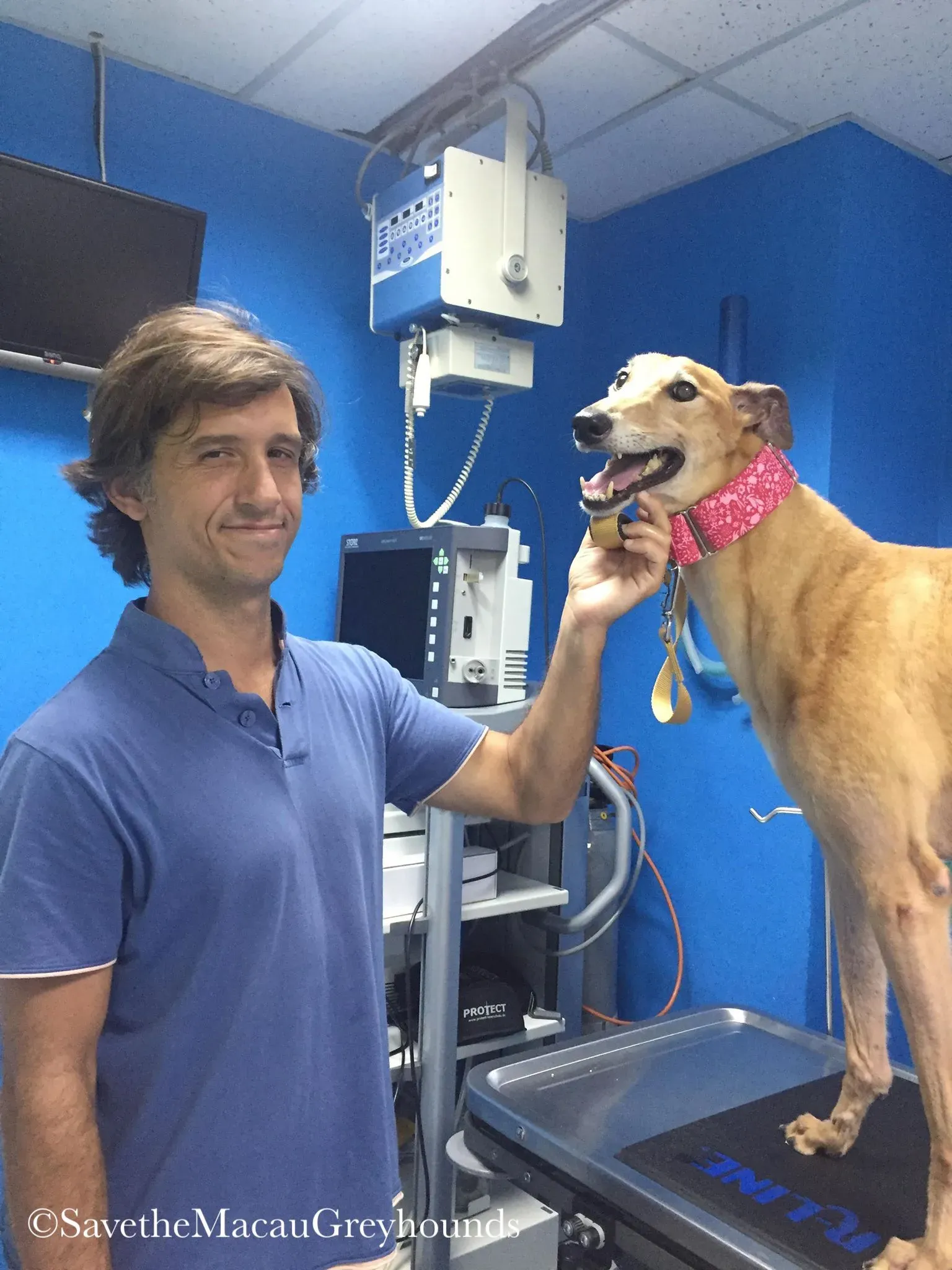 36849481 10156674901126995 6952324984362500096 n