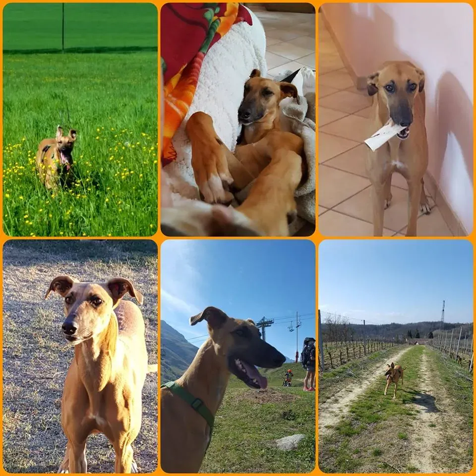 36874918 1040602416116802 6583193268488503296 n