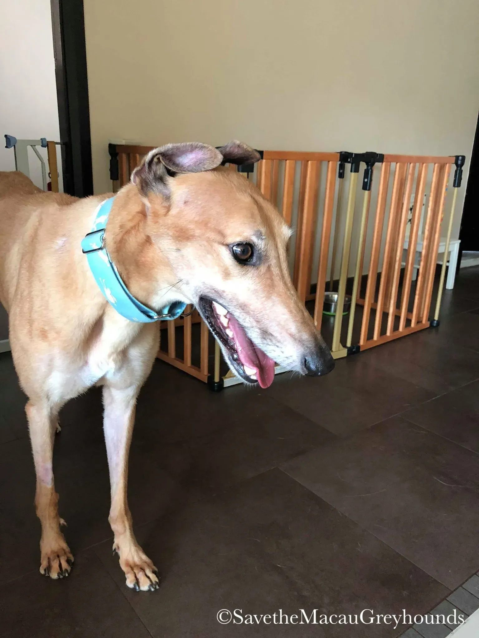 36875900 10156674903201995 851759454373281792 n