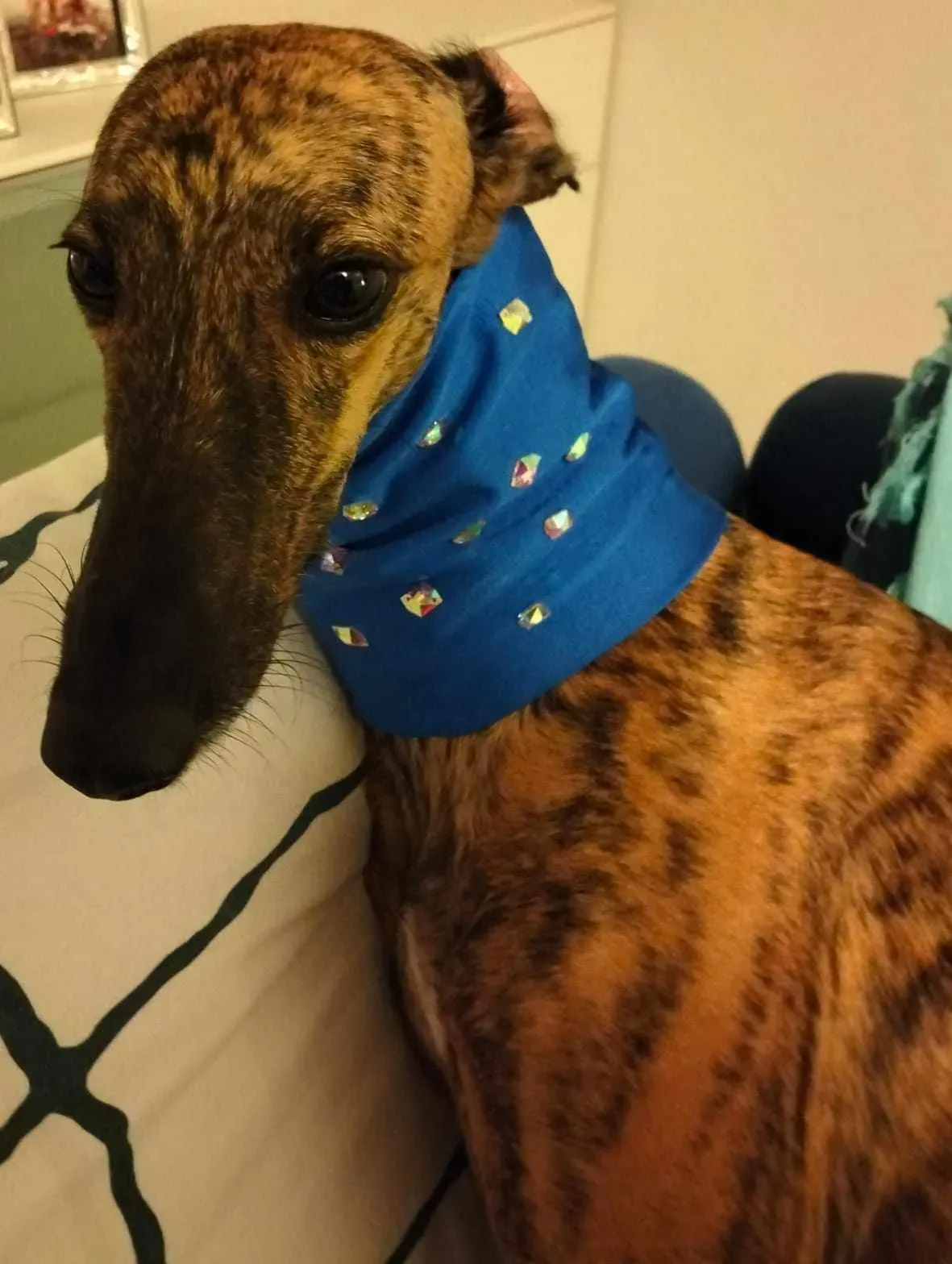 369071334 6978304275581550 3022308768405754159 n