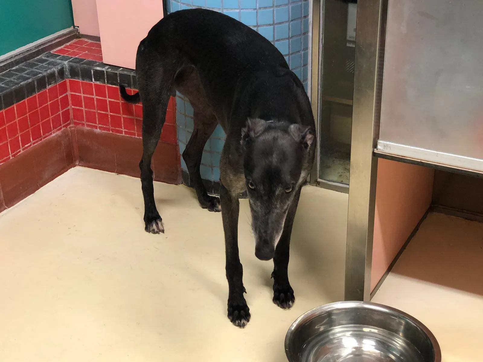 36952854 1622710497863640 69400813167968256 o