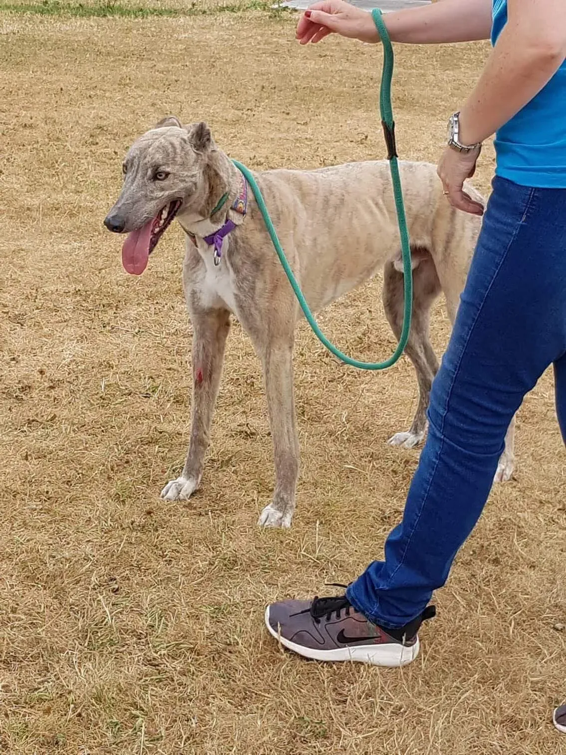 37192274 1851557178269210 5387586102561341440 n