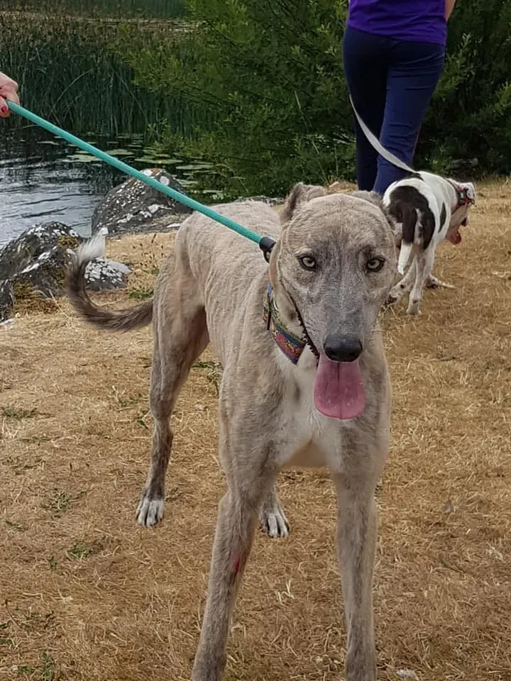 37226439 1851556918269236 2224939925734686720 n