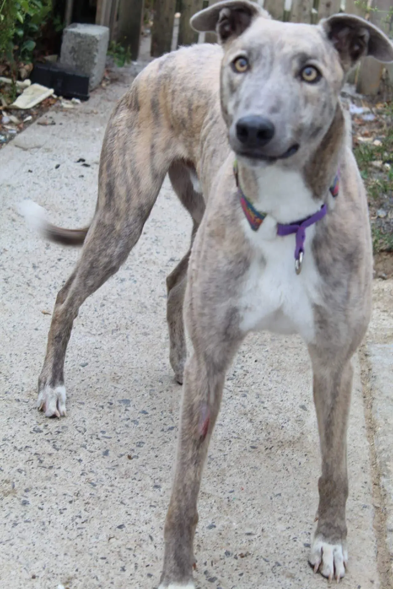 37230506 1851556881602573 8235931417389826048 n