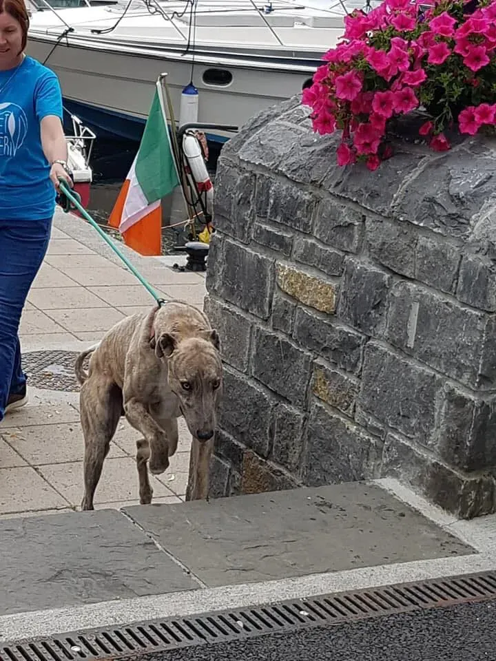 37231721 1851557068269221 14342965975580672 n