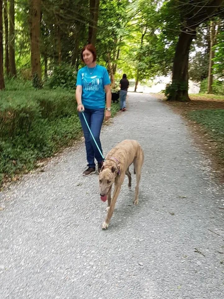 37236198 1851556978269230 5216307612865265664 n