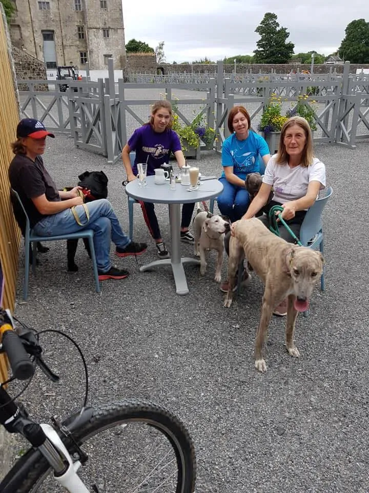 37242348 1851556924935902 7132308294730776576 n