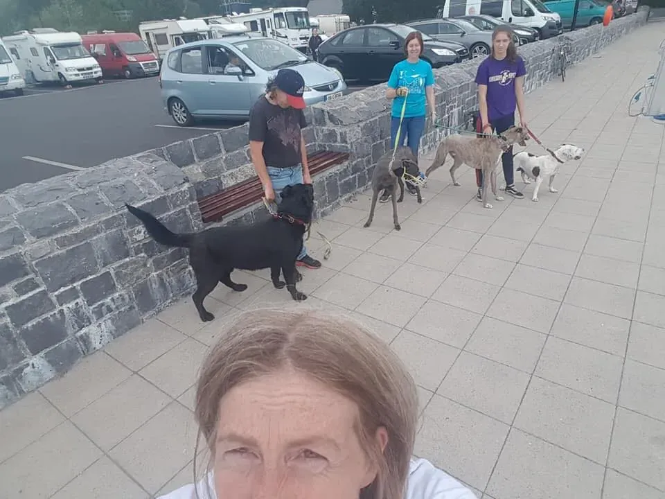 37250923 1851556958269232 9048643412814725120 n