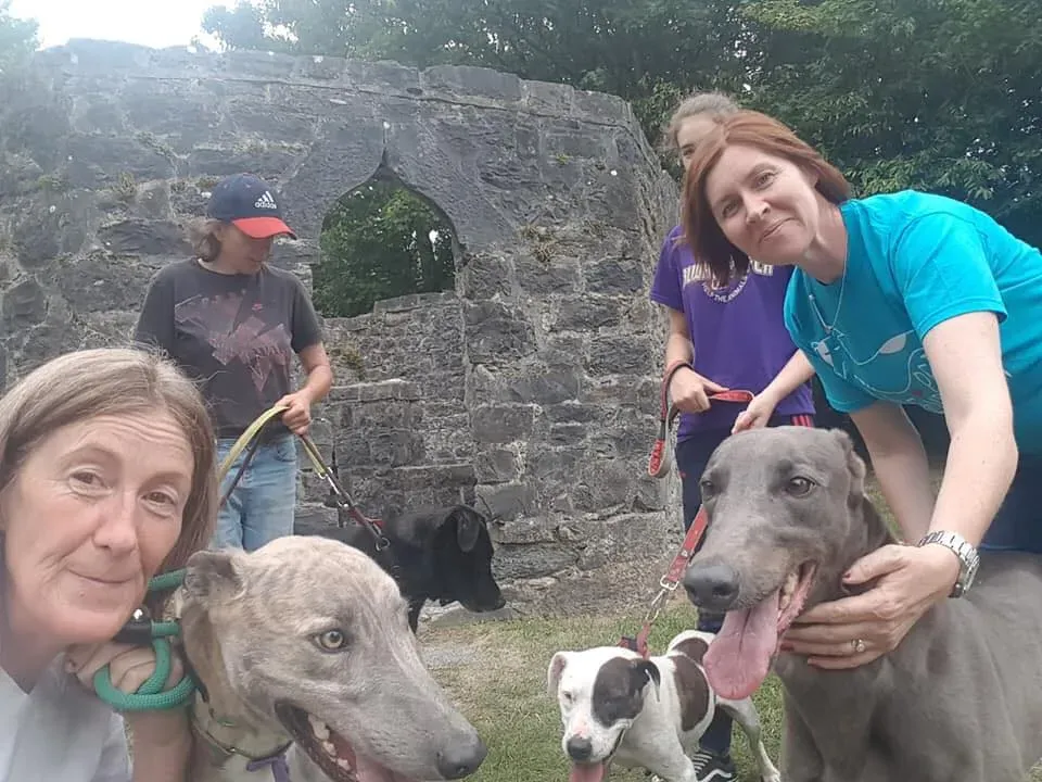 37268907 1851557018269226 6997832464966090752 n