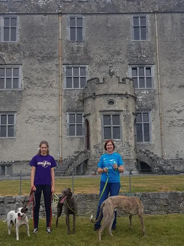 37296252 1851557044935890 2492404448542851072 n