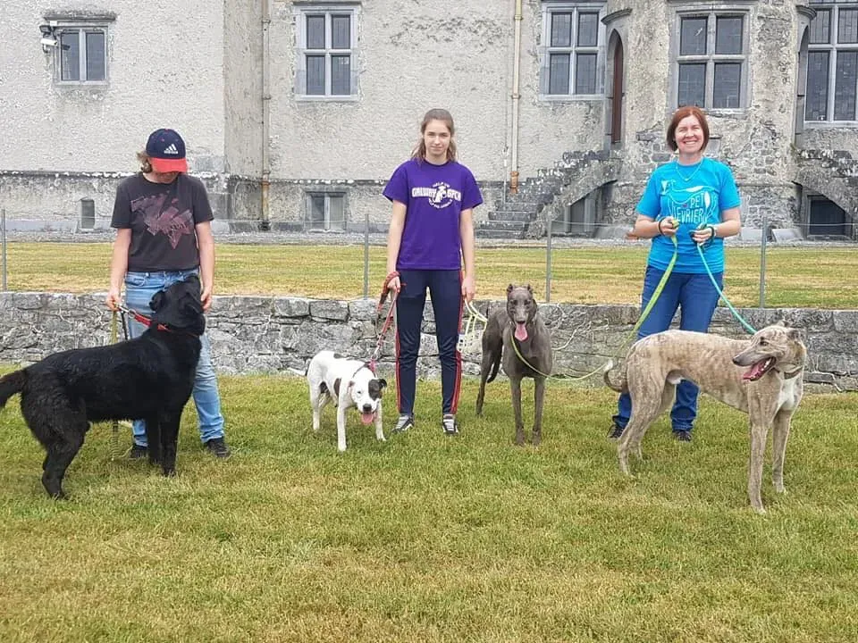 37313499 1851556861602575 4616667038029447168 n