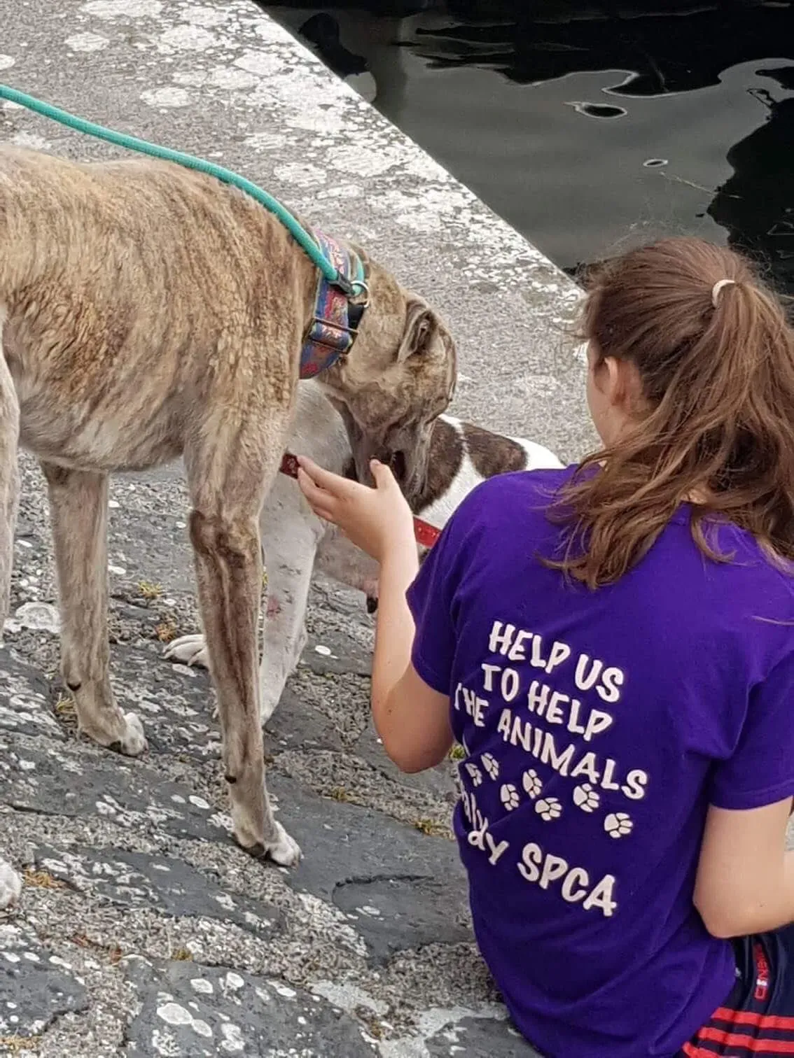 37331110 1851557191602542 6971284421705990144 n