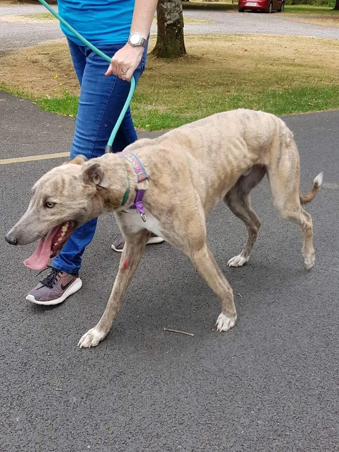 37332312 1851557251602536 2663048889396887552 n