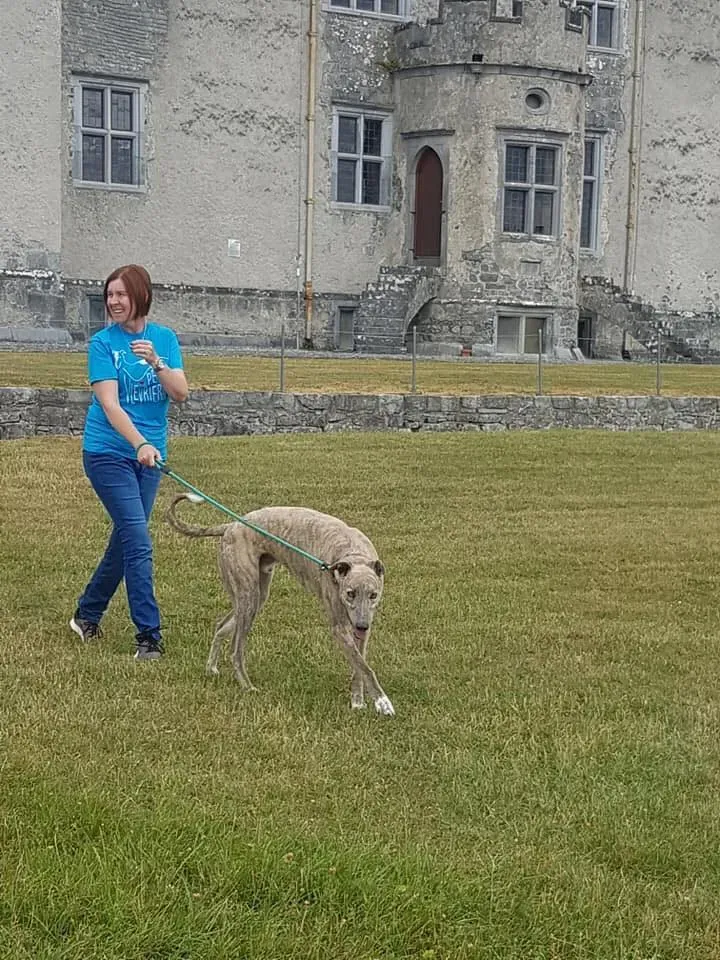 37344182 1851557091602552 3602583508066762752 n