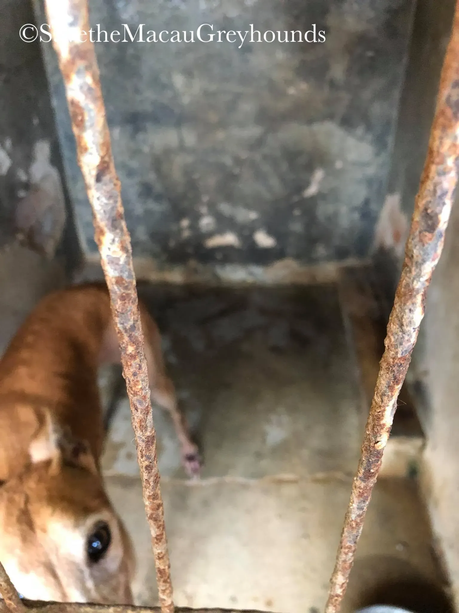 37423457 1639263512875005 7213792796522577920 o