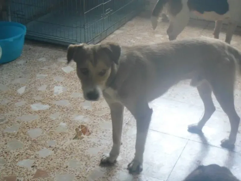 375012 10201075085061727 1972889873 n