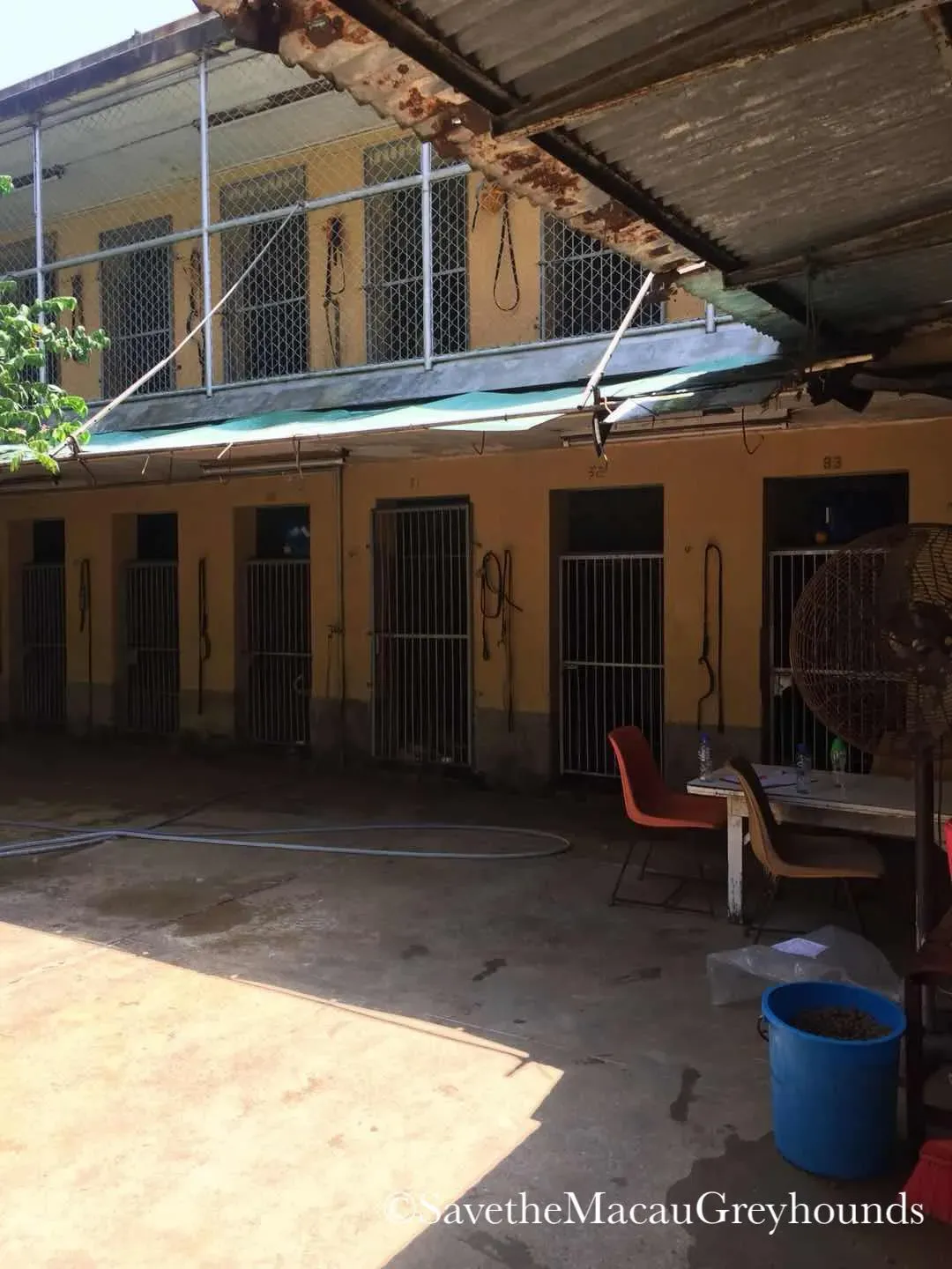 37511353 1639079809560042 6990774442129358848 o