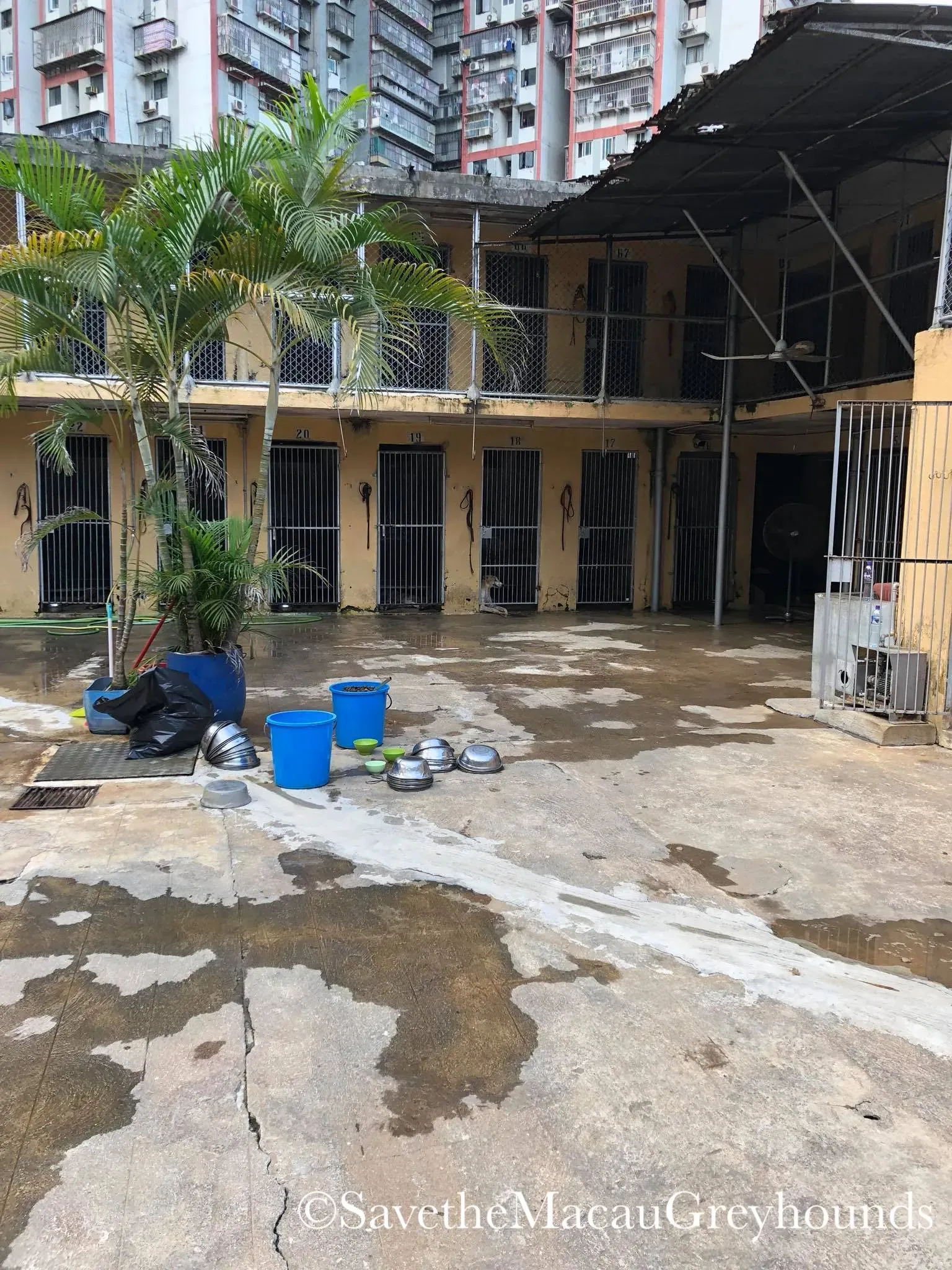 37511363 1639264179541605 781376193206157312 o