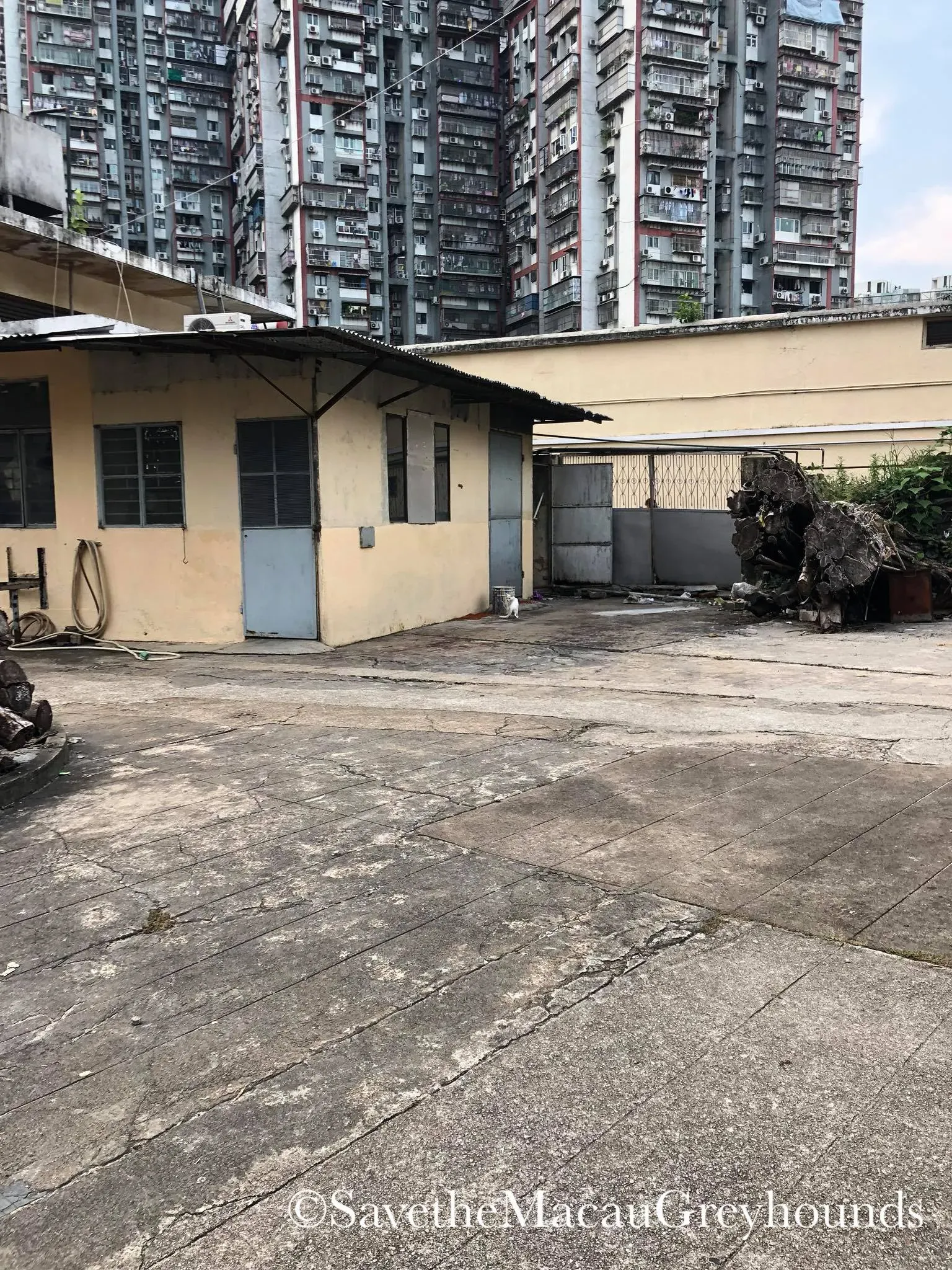 37536333 1639263589541664 4563770594474065920 o