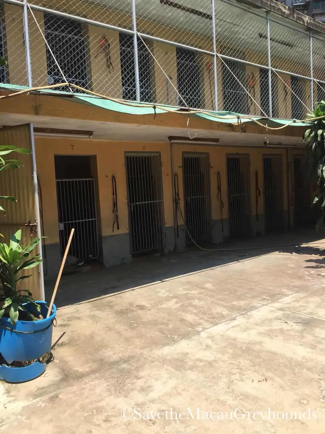 37562506 1639079759560047 6335951831121788928 o