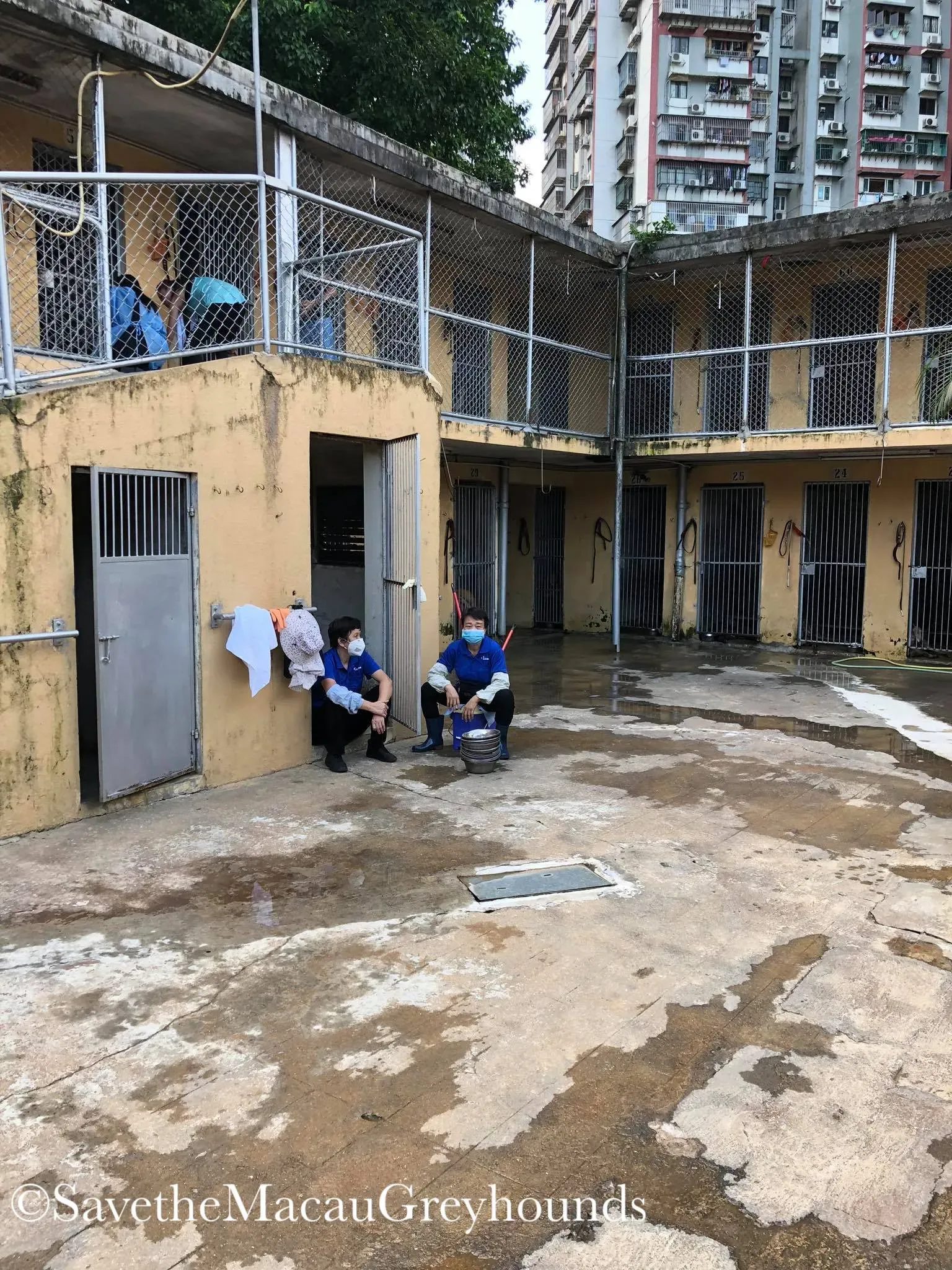 37565570 1639263962874960 5819722566306103296 o