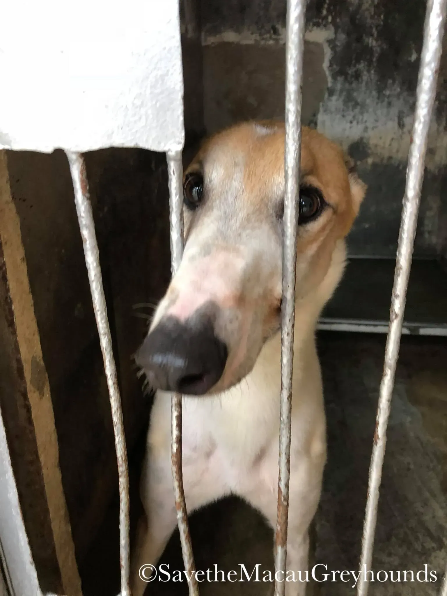 37580862 1639263646208325 4400898283489198080 o