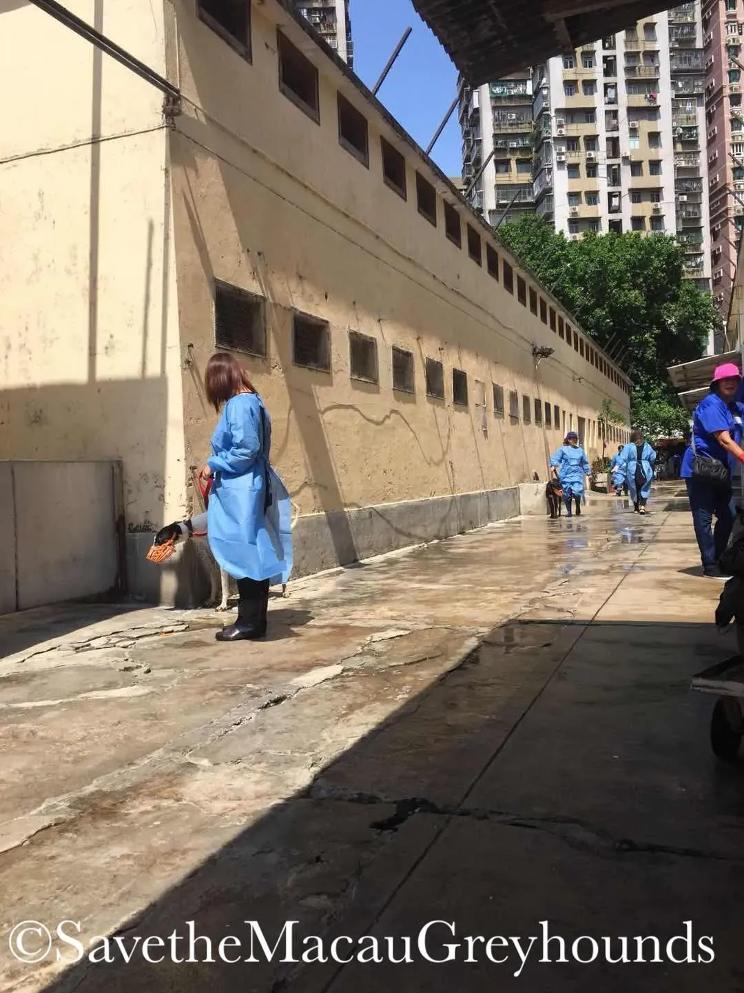 37586972 1639079752893381 7235945563525480448 o