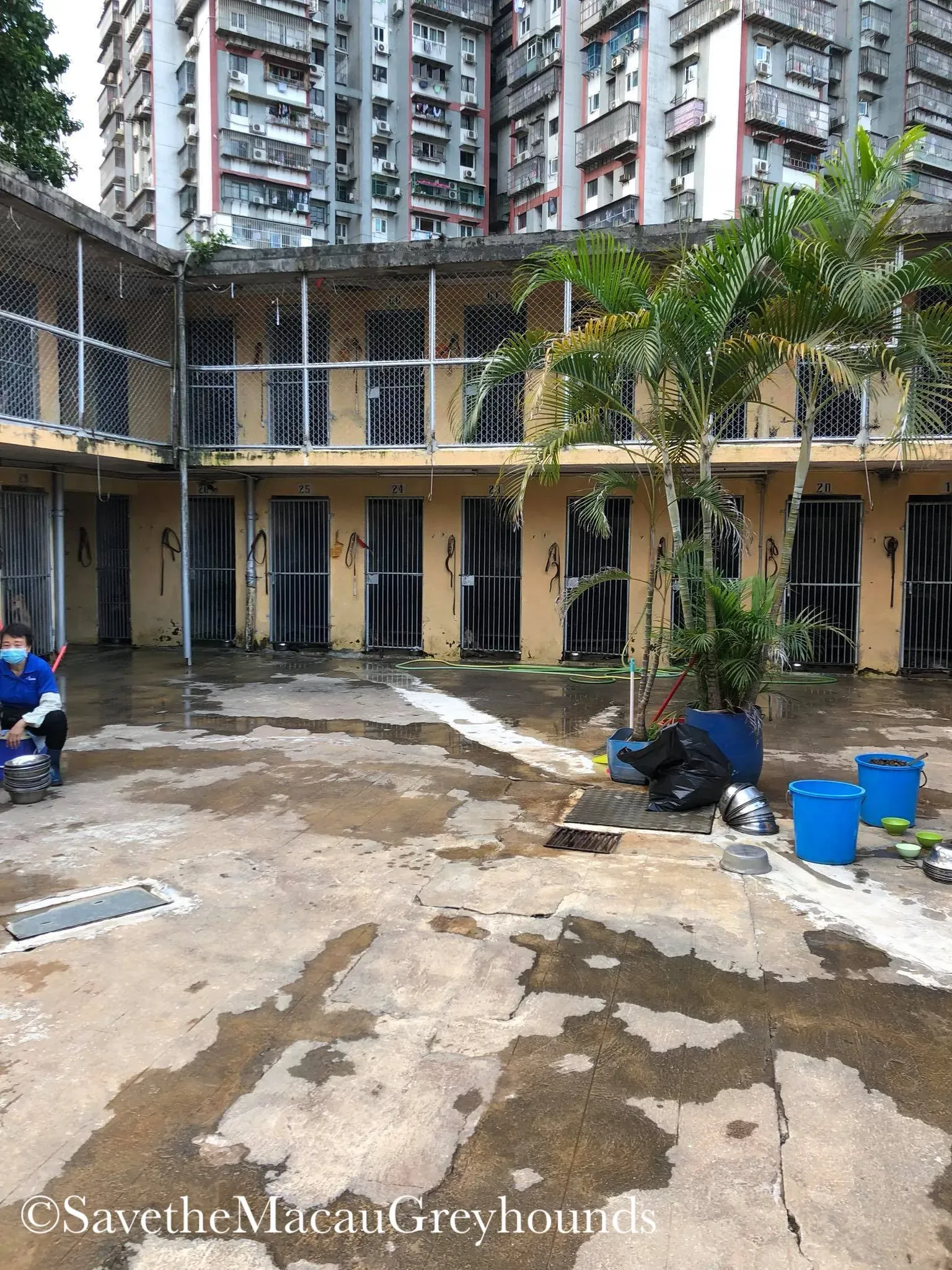 37600686 1639264106208279 2358853750438756352 o