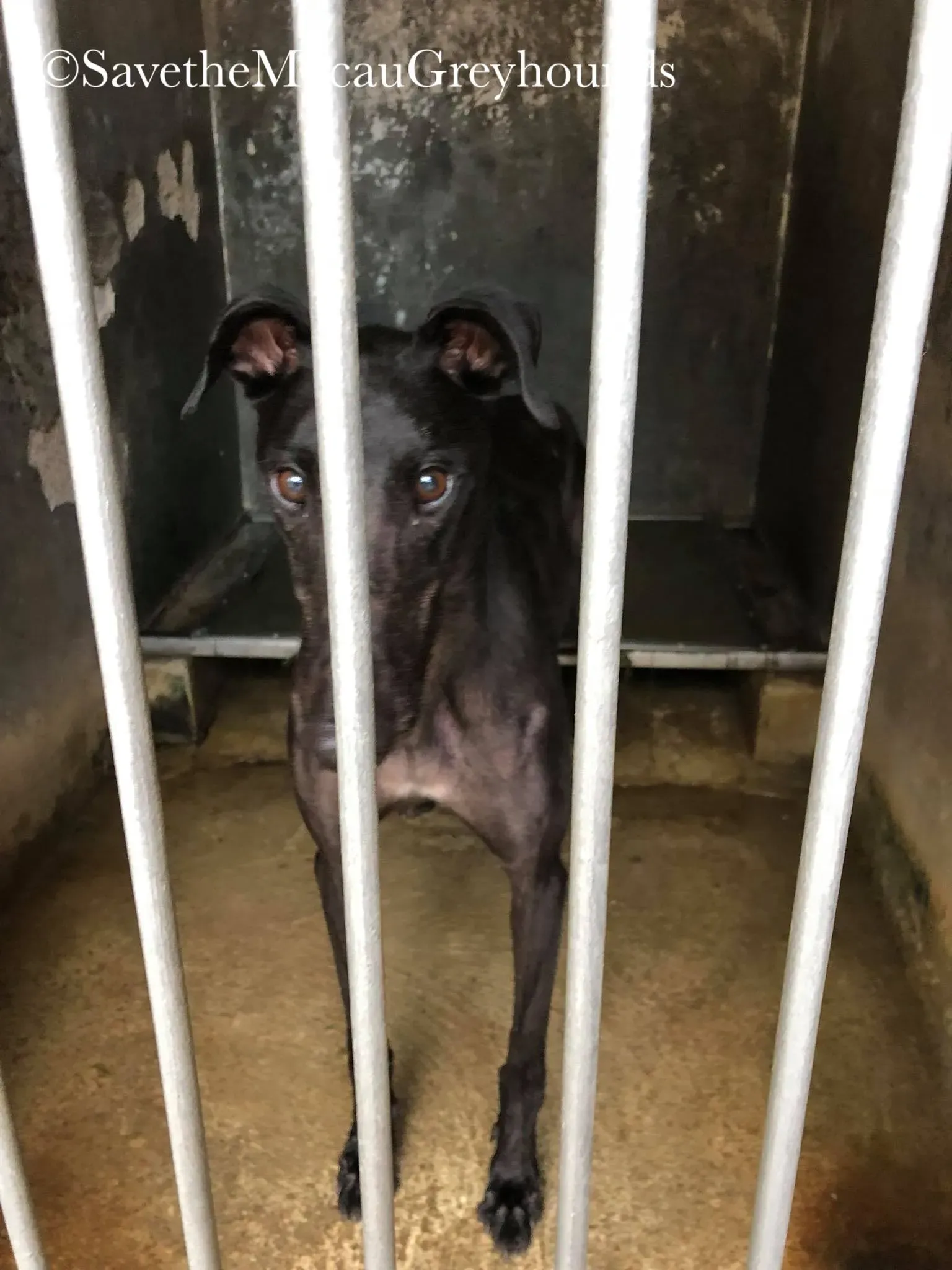 37625731 1639263772874979 8009707617234452480 o