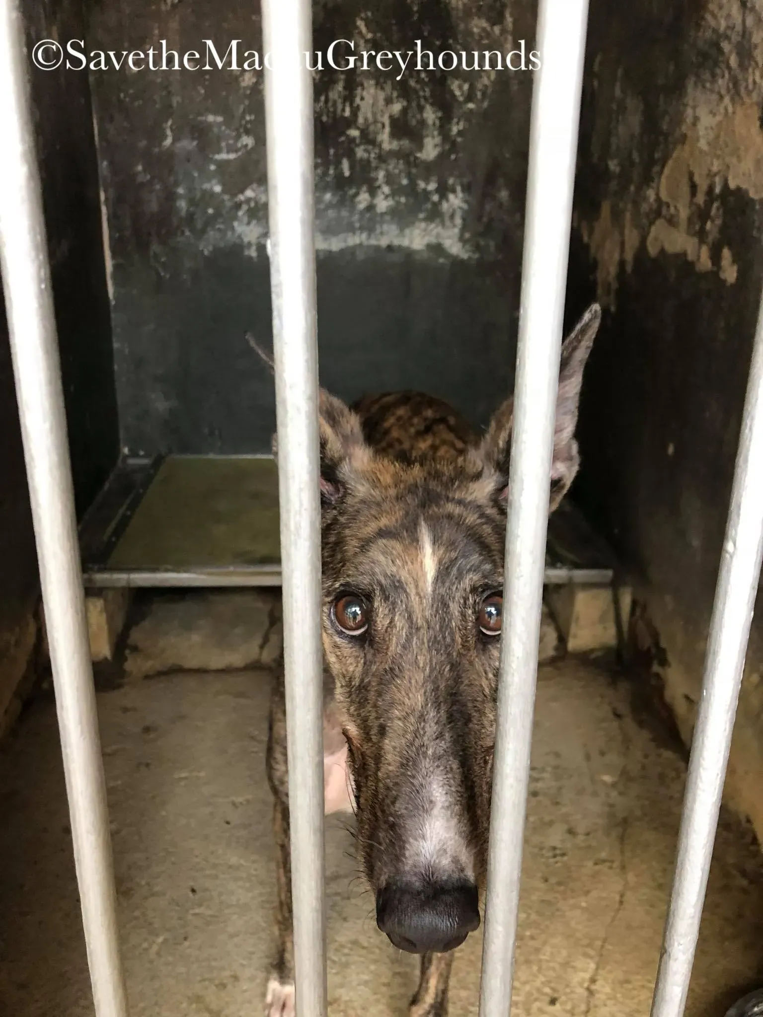 37638111 1639263729541650 6098961952409649152 o