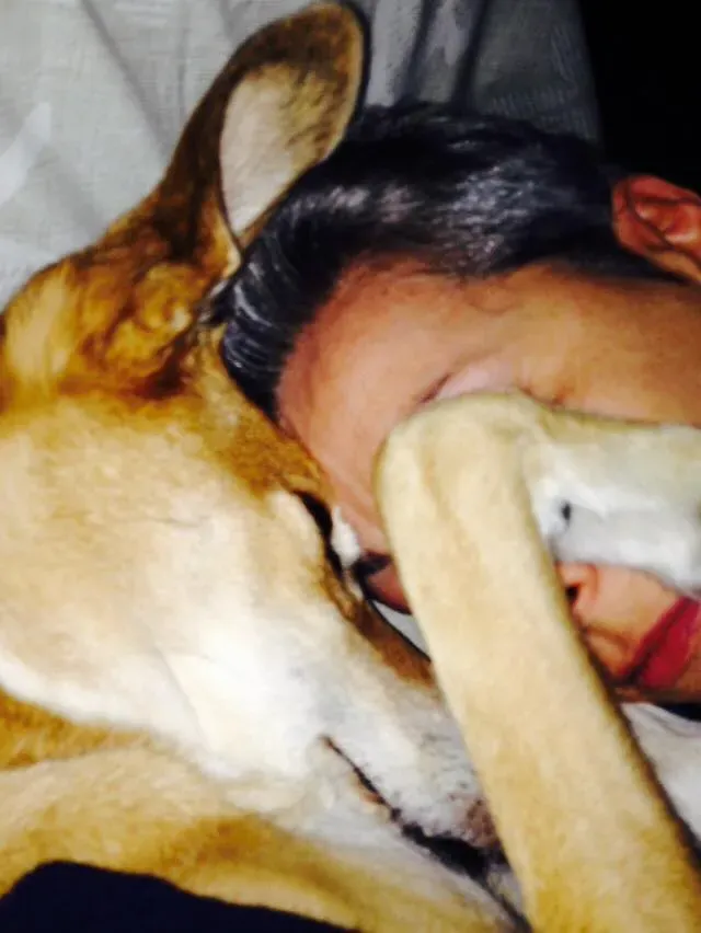 37689770 1089509087886802 8158894289808523264 n 1