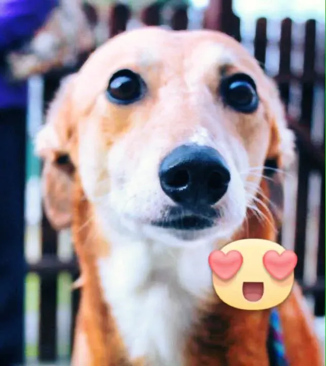 37691568 1089508871220157 6460267640869879808 n 2