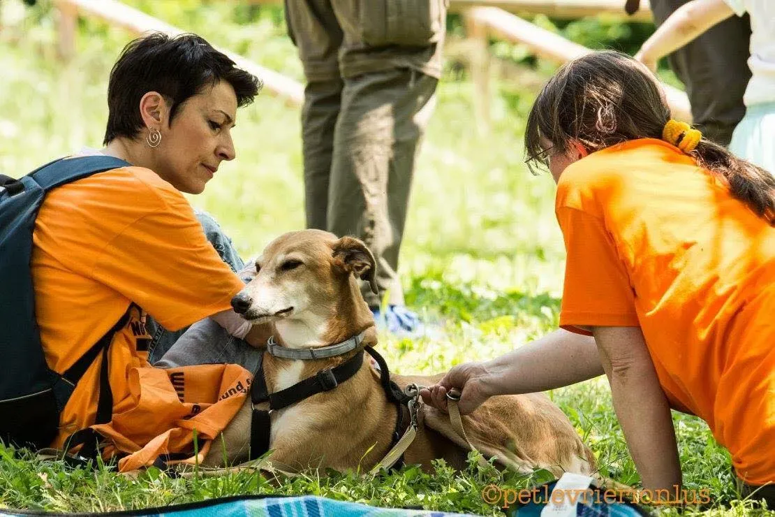 37698128 1089509217886789 2236714174849744896 n 1