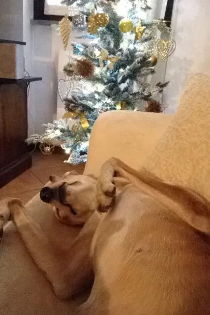 37719185 1089509097886801 7086683333886738432 n 1