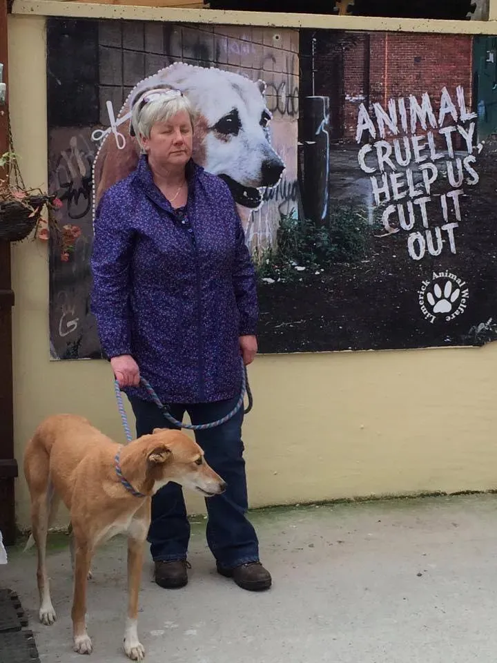 37719199 1089509257886785 5935340504639078400 n 1