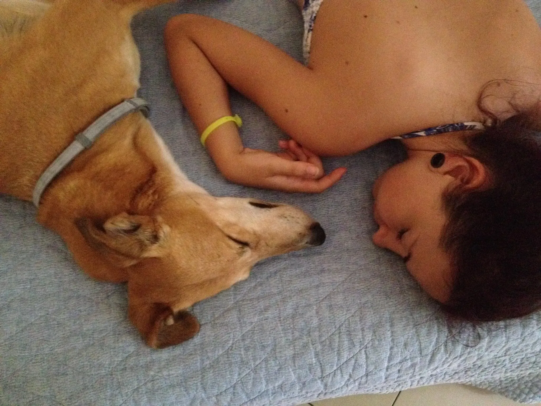 37759044 1089508934553484 1035022522027868160 n 1