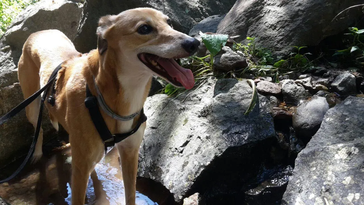 37767456 1089508924553485 3799196781481295872 n 1