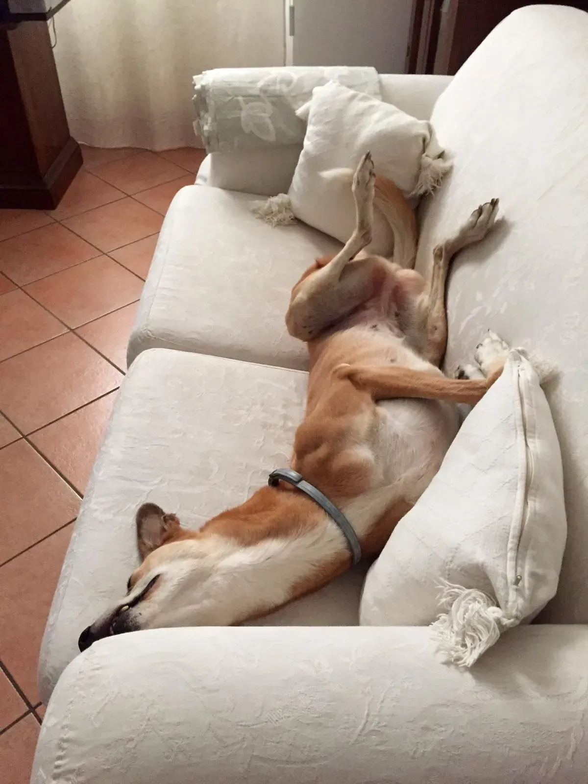 37782196 1089509027886808 8427783272880144384 n 1