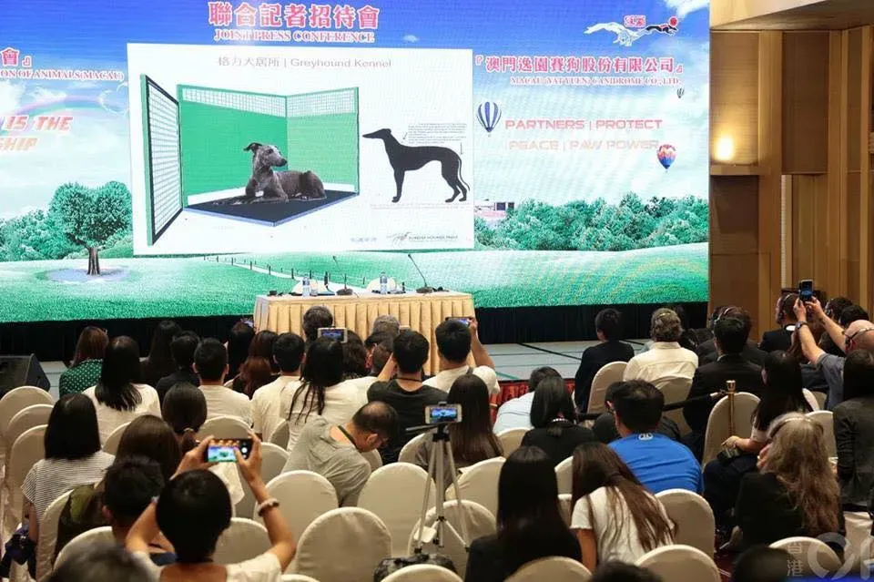 37817022 2149219692034199 1040662449742675968 n