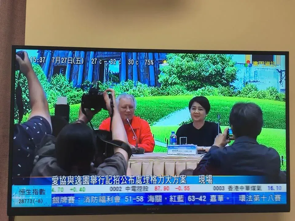 37837632 2149219612034207 1773983761407410176 n