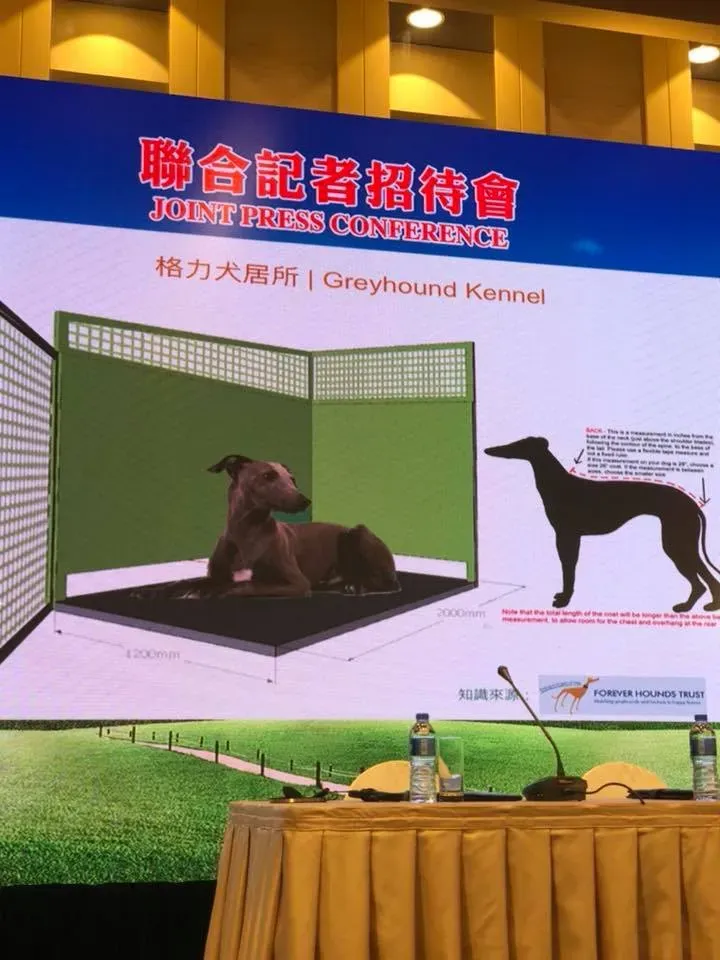 37846596 2149058252050343 6949333548230770688 n